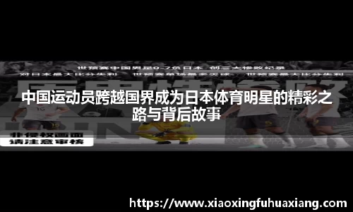 bsports官网入口