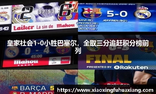 bsports登录入口