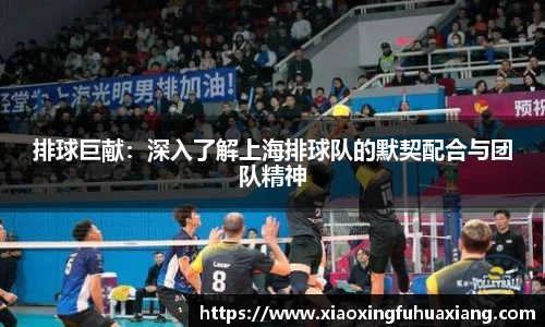 排球巨献：深入了解上海排球队的默契配合与团队精神