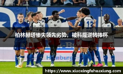 bsports登录入口