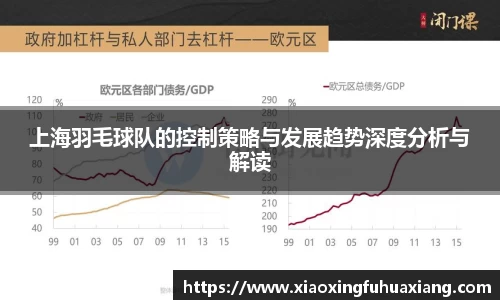 上海羽毛球队的控制策略与发展趋势深度分析与解读
