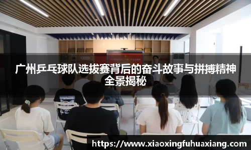 bsports登录入口
