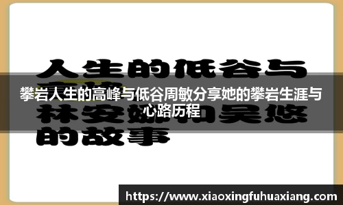 bsports登录入口