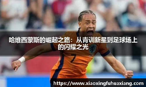 bsports登录入口