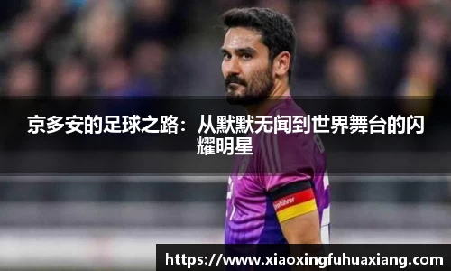 bsports登录入口