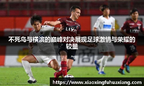 bsports登录入口