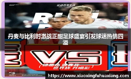 丹麦与比利时激战正酣足球盛宴引发球迷热情四溢