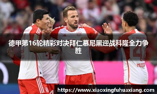 Bsports网页版
