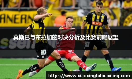 bsports登录入口