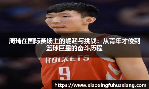 bsports官网入口