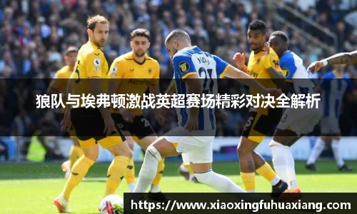 狼队与埃弗顿激战英超赛场精彩对决全解析