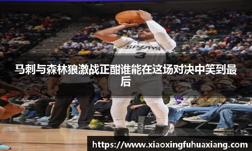 bsports官网入口